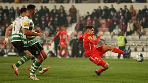 Sporting-Gil Vicente: leão obrigado a ganhar