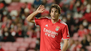 Paulo Bernardo recorda estreia na Luz: «Ouvir os nossos adeptos a puxarem por mim...»