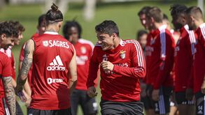 'Operação FC Porto': Benfica já arrancou preparação para o clássico