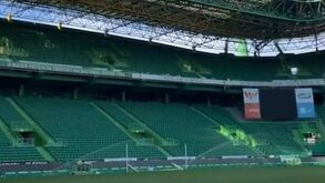 Marcha do Sporting tocou hoje em Alvalade: leões recordam Maria José Valério