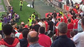 Ânimos quentes na Luz, com desentendimento entre steward e adeptos do Benfica