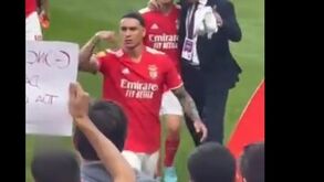 Darwin deixou o relvado da Luz 'à Cristiano Ronaldo'