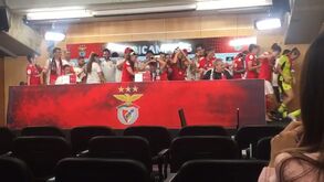 Jogadoras do Benfica invadem conferência de imprensa da treinadora Filipa Patão