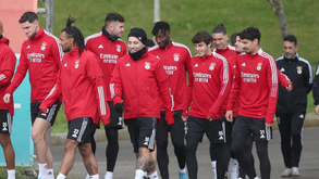 Limpeza em marcha no Benfica: alterações profundas na próxima época