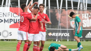Águia sobe ao trono