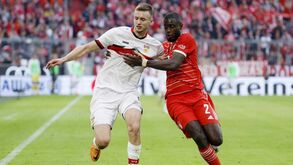 Sasa Kalajdzic associado ao Benfica