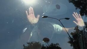 Momento insólito: Ibrahimovic celebra com adeptos e parte o para-brisas do autocarro do Milan