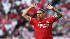 Milhões de Darwin são para reforços