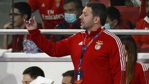 Chema Rodríguez e o jogo do Benfica com o Wisla na Liga Europeia: «Penso que vamos ganhar»