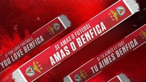 Frase de Schmidt 'vira' mensagem em cachecol do Benfica