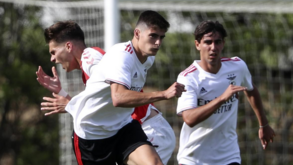 Palmarés do campeonato nacional de juniores