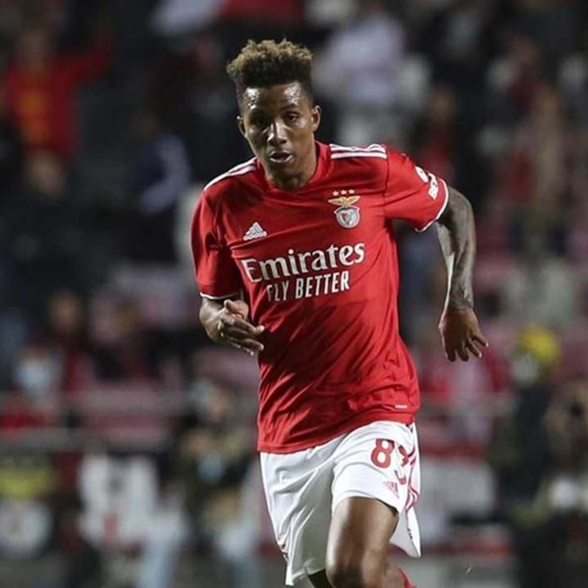 Besiktas confirma a chegada de Gedson Fernandes 