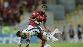 Santos-Flamengo: separados por um ponto na tabela