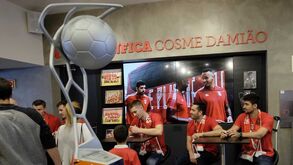 «Ainda não caímos em nós»: andebolistas do Benfica nas nuvens após conquista da Liga Europeia