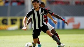 Botafogo-Goiás: Luís Castro procura voltar a vencer