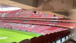 Benfica avança com substituição das cadeiras no Estádio da Luz