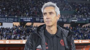 Paulo Sousa na corda bamba