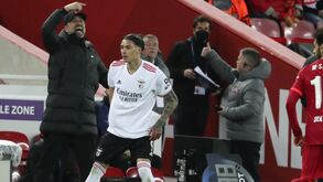 José Gomes: «Com Klopp, Darwin vai sentir-se como peixe na água»