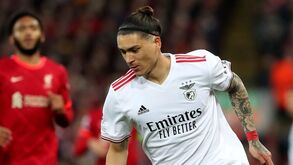 Darwin está a caminho do Liverpool