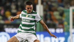 «Se fosse 30 ou 40 milhões já se aceitava»: possível venda de Palhinha divide sportinguistas