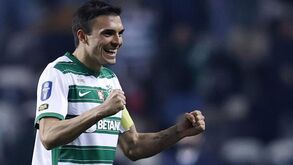 Tiago Carreira aplaude Palhinha na Premier League: «É um jogador duro, mas é um gajo impecável»