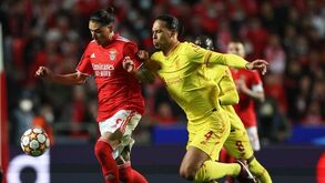 «Não há golos fáceis na Premier League, mas Darwin está habituado a jogar sob pressão»