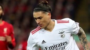 «Se o Benfica vai vendendo as jóias da coroa...»: saída de Darwin é 