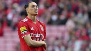 Pacheco: «Benfica podia adiar saída de Darwin? Isso é lirismo, não existe no futebol moderno»