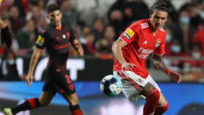 João Gonçalves: «Não há muitos como Darwin»