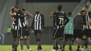 O festejo diz tudo: Botafogo marcou e jogadores atiraram-se para cima de Luís Castro