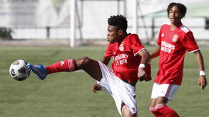 Ussumane Djaló vai deixar o Benfica