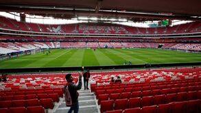 Benfica coloca Red Pass à venda no dia 24 de junho: conheça os valores e condições