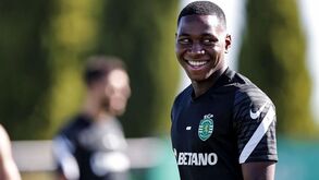 Três feridos graves após queda de bancada no Estádio Universitário de Lisboa