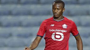 Tiago Djaló deve sair do Lille e já recebeu sondagens de Inglaterra