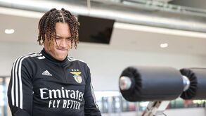 Jogadores do Benfica já fizeram testes físicos no Seixal: veja as imagens