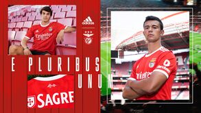 Aí está a nova camisola do Benfica: águias mostram todos os detalhes