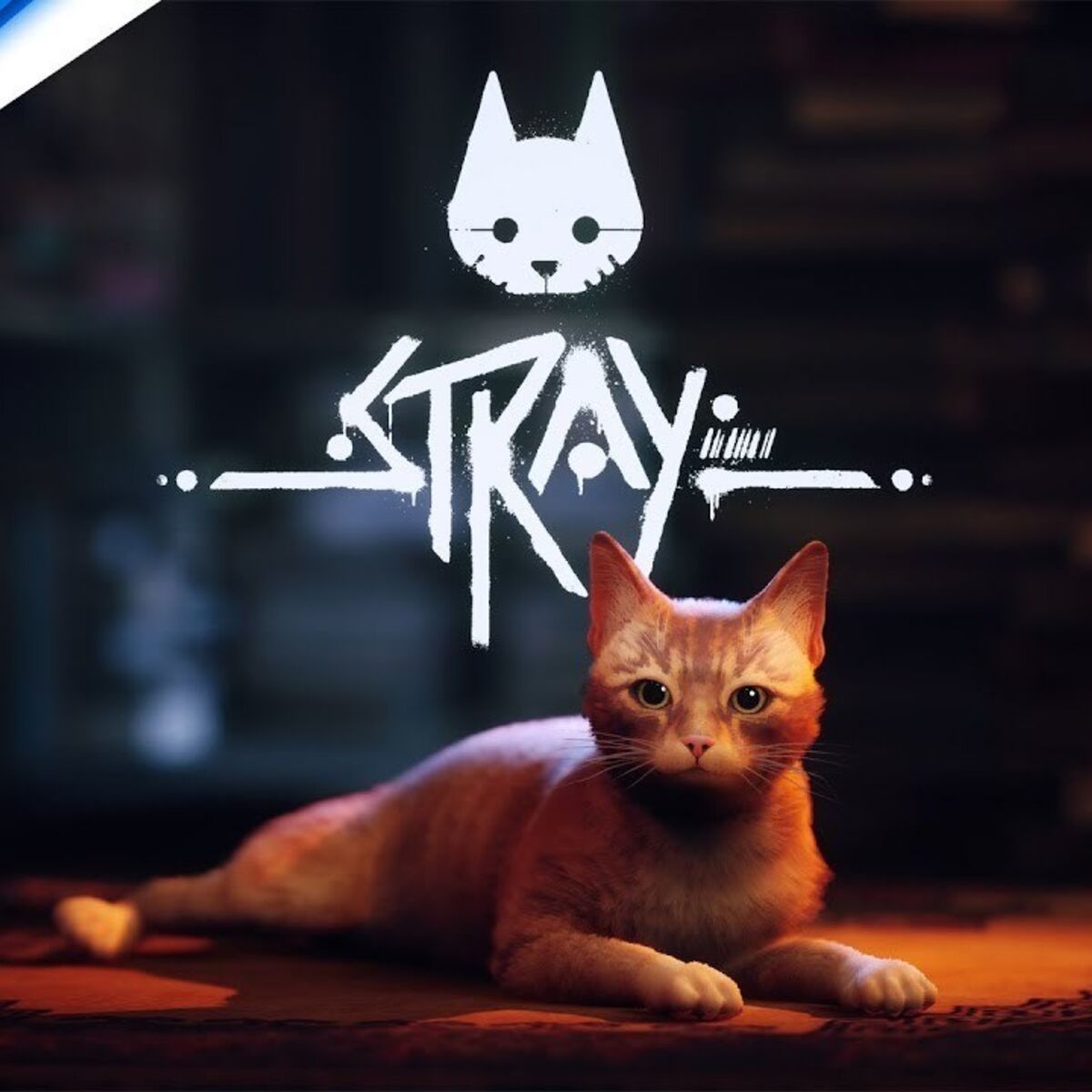 NOVO JOGO de GATO em MUNDO ABERTO!!! (Stray Inicio) 