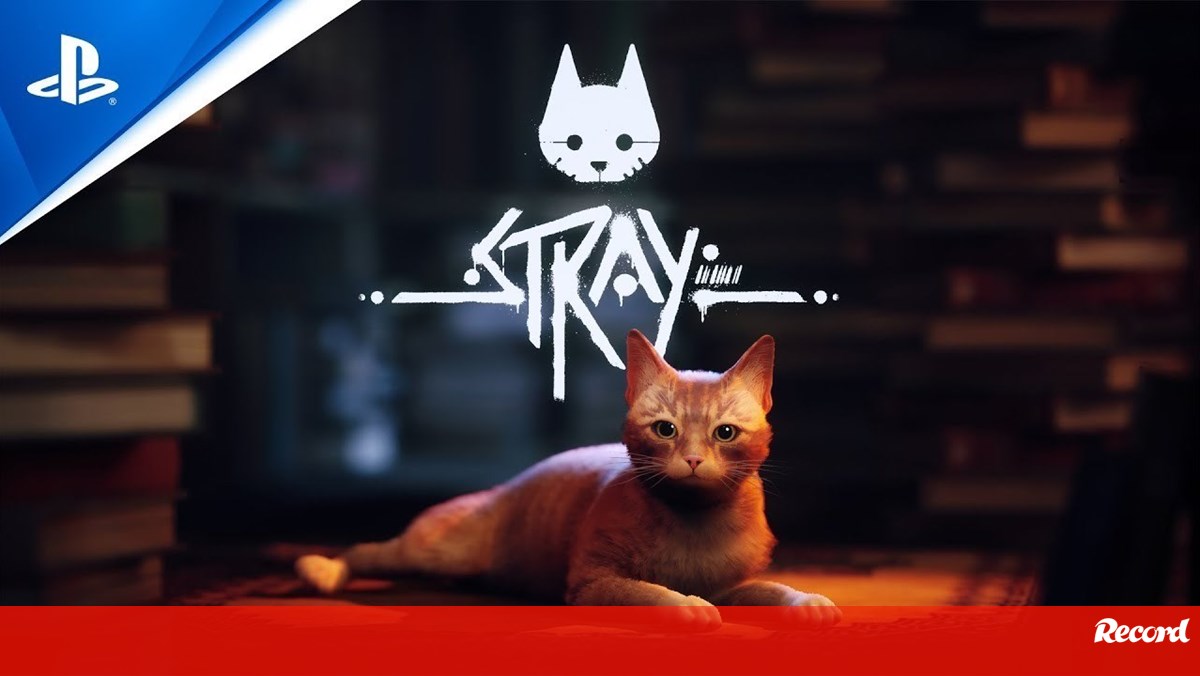 Stray, o jogo do gatinho no PS5, ganha detalhes da história e gameplay