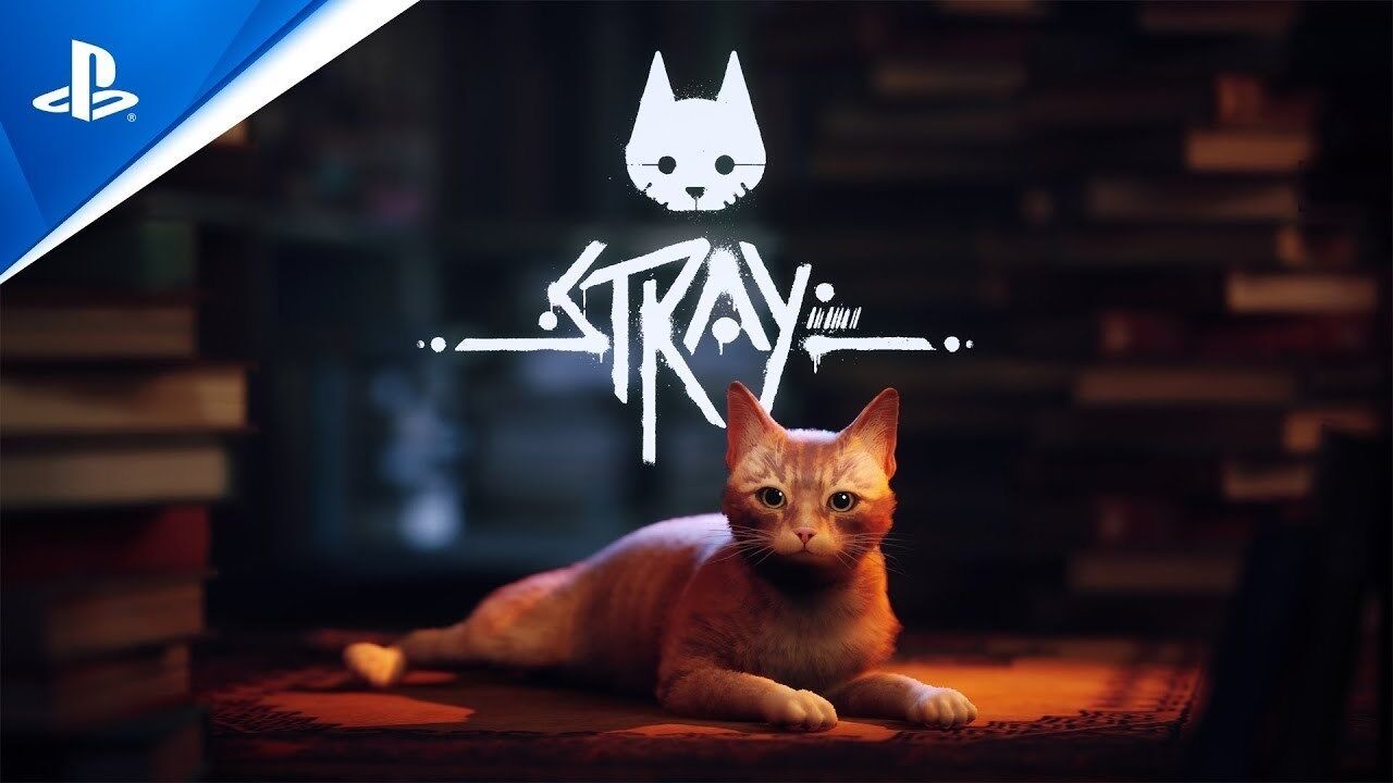 STRAY - O Novo JOGO Do GATO, Gameplay Walkthrough