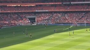 Jogo-treino no Estádio da Luz: veja as imagens