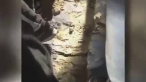Impressionante: brasileiros mostram Bombonera a tremer... literalmente