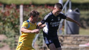 As melhores imagens do Reading-Benfica