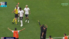 Vítor Pereira pediu penálti neste lance, excedeu-se nos protestos e foi expulso