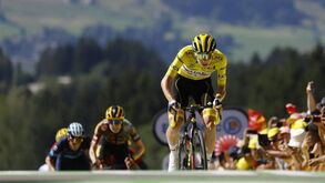 Covid-19 preocupa Pogacar: «Espero que consigamos sobreviver até ao final»