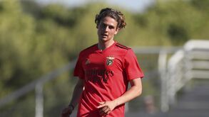 Vasco Paciência deixa Benfica para rumar à Académica