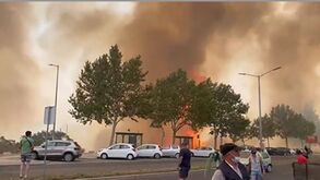 As imagens impressionantes do incêndio em Palmela: fogo já obrigou a evacuação de habitações
