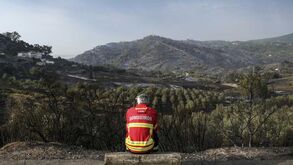 Incêndio em Palmela dado como dominado