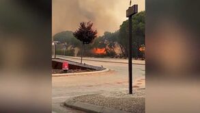 Alan Shearer viveu de perto incêndio no Algarve: «Jesus Cristo, nunca vi nada assim!»