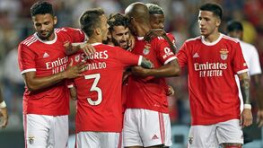 Enzo Fernández revela aquilo que Schmidt lhe pediu e assume: «Não esperava ser titular»