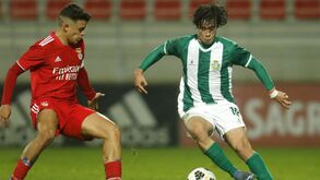 Canelas contratou jovem médio do Benfica